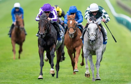 Gewan (gray) outfinishes Gstaad to win the Dewhurst Stakes at Newmarket Racecourse