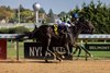 Iron Orchard wins the 2025 Frizette Stakes at Aqueduct Racetrack