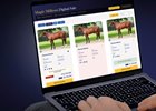 Magic Millions Digital