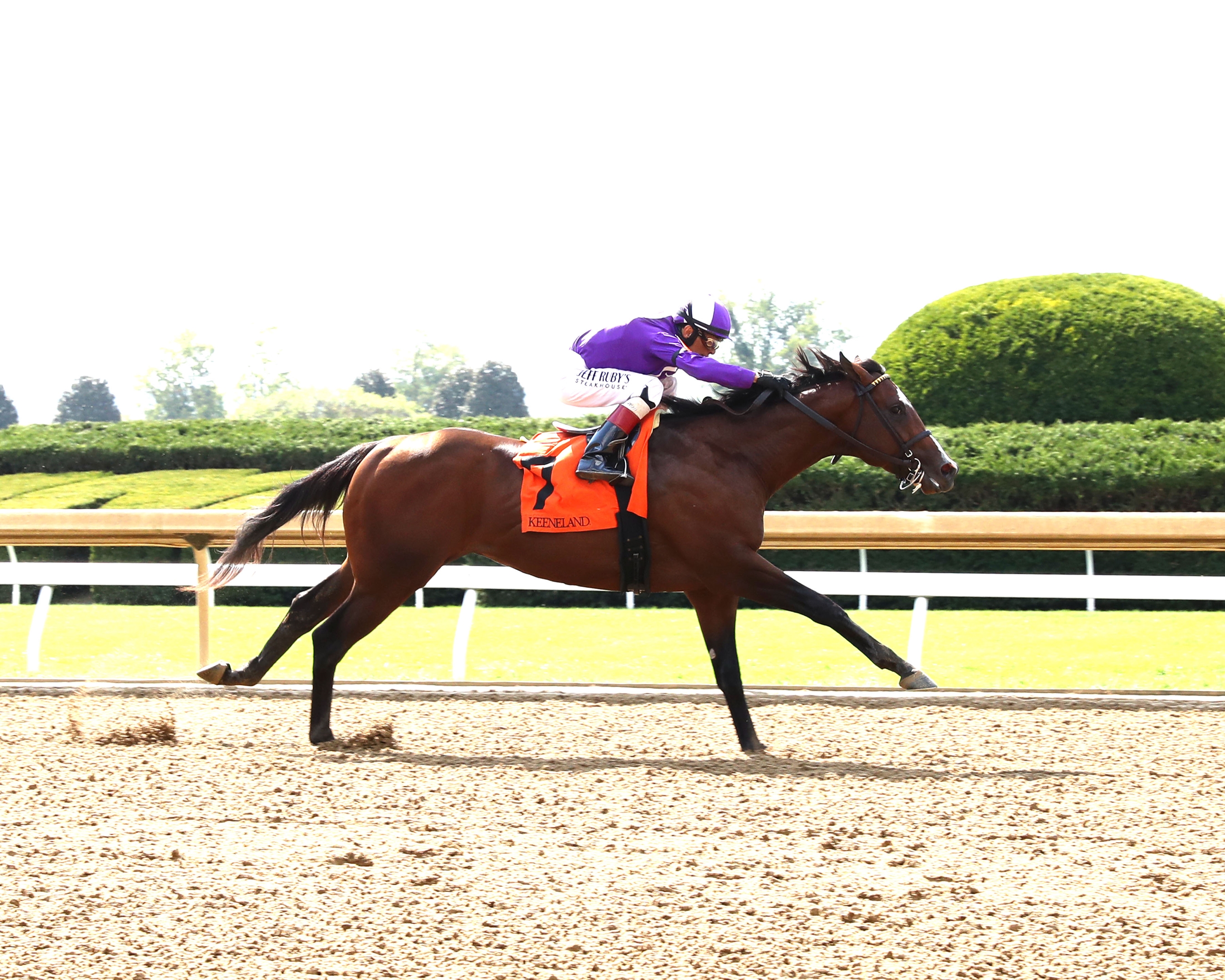 〈FEILER〉 UNITED ARROWS 別注 SPRINT HORSE FEILER〉 UNITED ARROWS 別注 SPRINT HORSE FEILER〉 UNITED ARROWS