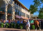 Horse of the Year Thorpedo Anna walking in the updated saddling area before running in  the Juddmonte Spinster (G1) at Keeneland on Oct. 5, 2025.