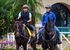 Sovereignty leaving the paddock, with Neil Poznansky on pony, at Del Mar with Breeders’ Cup contenders at Del Mar Thoroughbred Club in Del Mar, CA,  on Oct. 26, 2025.