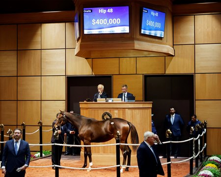 The Gun Runner colt consigned as Hip 48 in the ring at the Fasig-Tipton October Sale