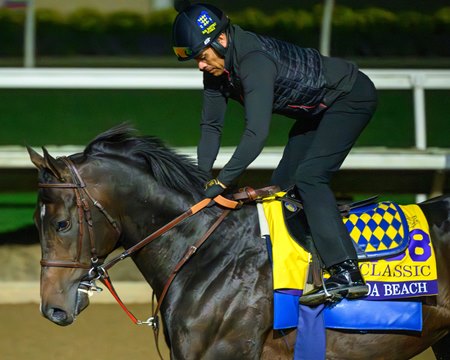Nevada Beach trains for the Breeders' Cup Classic at Del Mar