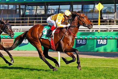 Sir Delius wins the 2025 Turnbull Stakes at Flemington Racecourse 