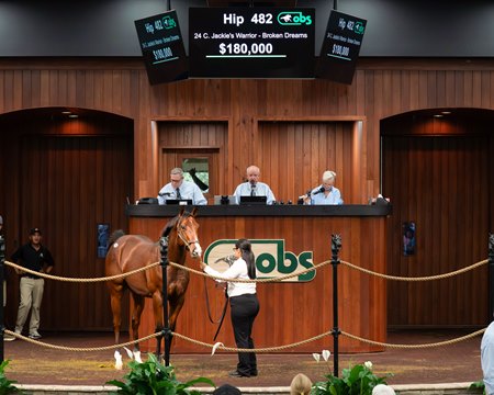 The Jackie's Warrior colt consigned as Hip 482 in the ring at the OBS October Sale