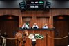 2025 OBS October Yearling Sale, Hip 482