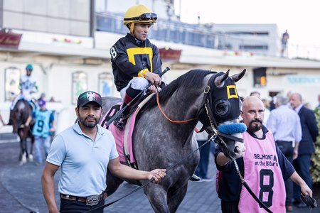 Napoleon Solo before winning the 2025 Champagne Stakes at Aqueduct Racetrack