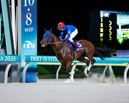 Narukami wins the Japan Dirt Classic at Oi Racecourse