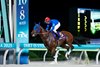 Narukami wins the 2025 Japan Dirt Classic at Oi Racecourse