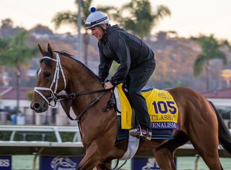 Journalism trains prior to the Breeders' Cup at Del Mar