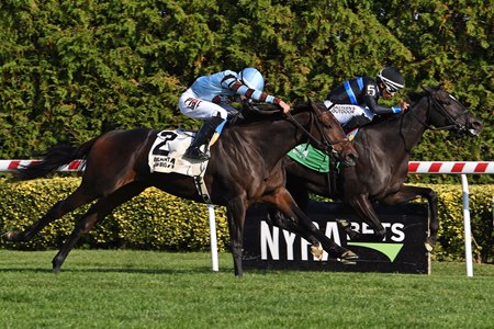 Ready for Candy wins the Sands Point Stakes at Aqueduct Racetrack