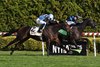 Ready for Candy wins the Sands Point Stakes on Saturday, October 18, 2025 at Belmont at the Big A