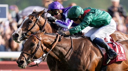 Daryz wins the Prix de l'Arc de Triomphe at ParisLongchamp