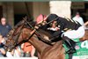Gin Gin and Luis Saze win G1 Juddmonte Spinster Stakes, Keeneland Racetrack, Lexington, KY, 10-5-25, Mathea Kelley-Bloodhorse Gin Gin and Luis Saze win G1 Juddmonte Spinster Stakes, Keeneland Racetrack, Lexington, KY, 10-5-25, Mathea Kelley-Bloodhorse 