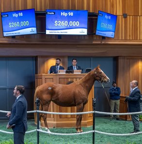 Showmethemagic consigned as Hip 198 in the ring at the F-T Saratoga Fall Mixed sale