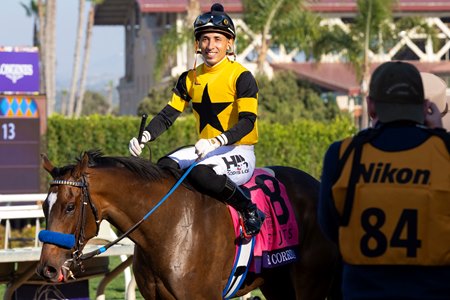 Super Corredora after her victory in the 2025 Breeders' Cup Juvenile Fillies at Del Mar