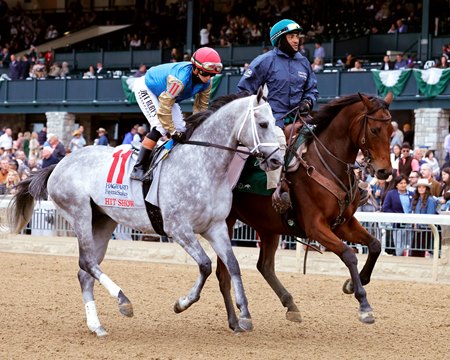 Hit Show gallops in the post parade before his victory in the 2025 Fayette Stakes at Keeneland
