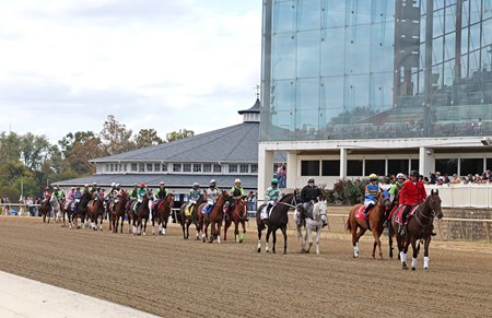 Horses on the track during the 2025 Maryland Million Day at Laurel Park