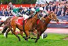 Via Sistina wins the 2025 Cox Plate at Moonee Valley
ridden by James McDonald and trained by Chris Waller