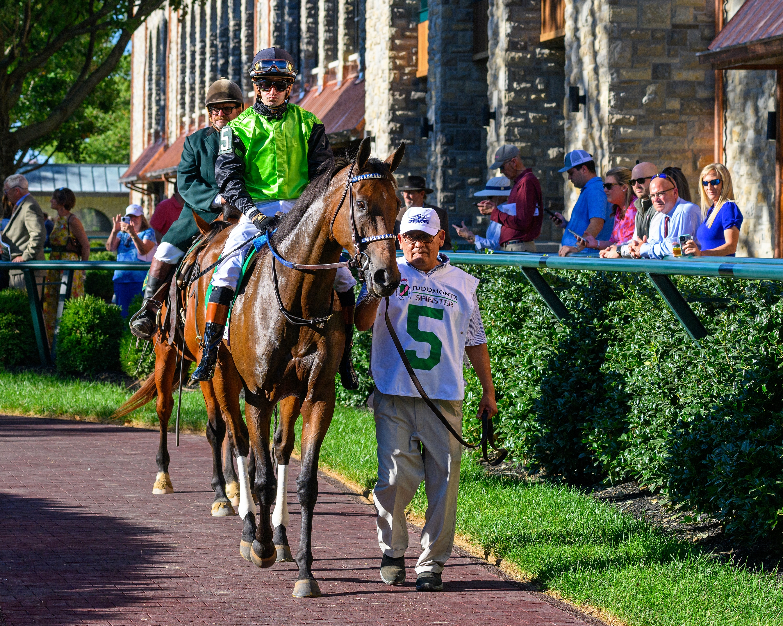 Champion Jockey SpecialとWinningPost 8'17 Amazon.com: Champion Jockey Special NINTENDO SWITCH JAPANESE