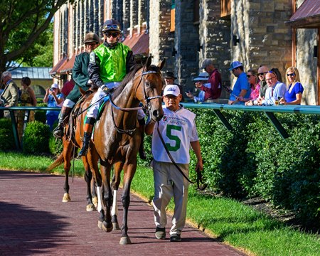 An ownership interest in 2024 Horse of the Year Thorpedo Anna will be up for bidding at the Keeneland Championship Sale