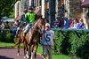 Thorpedo Anna in the paddock before the Juddmonte Spinster (G1) at Keeneland on Oct. 5, 2025.
