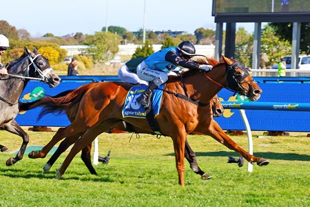 Half Yours wins the Caulfield Cup at Caulfield Racecourse