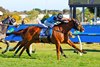 Half Yours wins the 2025 Caulfield Cup at Caulfield Racecourse
ridden by Jamie Melham &amp; trained by Tony &amp; Calvin McEvoy