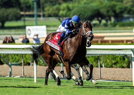 Stark Contrast wins the Zuma Beach Stakes at Santa Anita Park