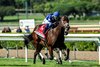 Stark Contrast and jockey Kazushi Kimura win the Grade III, $100,000 Zuma Beach Stakes, Sunday, October 5, 2025 at Santa Anita Park, Arcadia CA.
&#169; BENOIT PHOTO