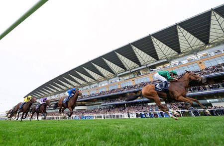 Racing at Ascot Racecourse