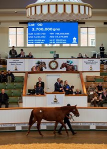 The Sea The Stars colt consigned at Lot 90 in the ring at the Tattersalls October Yearling Sale