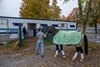 Sovereignty leaves the grounds of the Oklahoma Training Center Wednesday Oct. 22, 2025, adjacent to the Saratoga Race Course for Del Mar Race Course in San Diego to compete in the Breeders, Cup Classic which will be contested on Nov. 1.  Photo by Skip Dickstein