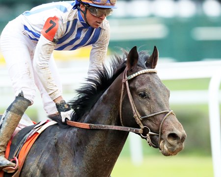 Incredibolt won the 2025 Street Sense Stakes at Churchill Downs