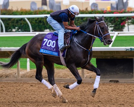 Trainer Kenny McPeek, who captured the 2024 Kentucky Derby with Mystik Dan, will send out Blackout Time in the Rebel Stakes at Oaklawn Park