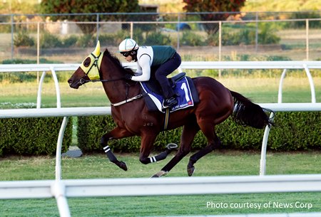 Ka Ying Rising works at Canterbury Racecourse