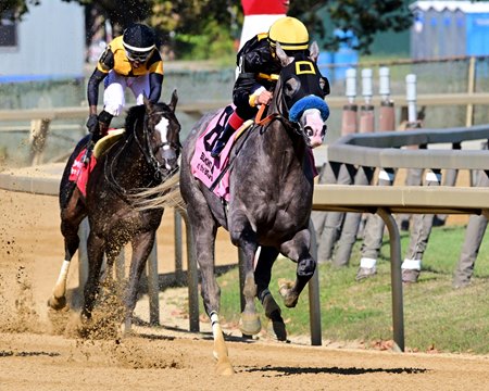 Napoleon Solo wins the Champagne Stakes at Aqueduct Racetrack