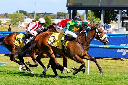 Ole Dancer wins the 2025 Thousand Guineas at Caulfield Racecourse