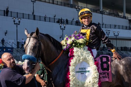 Napoleon Solo after winning the 2025 Champagne Stakes at Aqueduct Racetrack