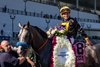 Napoleon Solo wins the 2025 Champagne Stakes at Aqueduct Racetrack