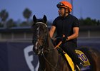 Sovereignty
Morning training at Del Mar with Breeders’ Cup contenders at Del Mar Thoroughbred Club in Del Mar, CA,  on Oct. 25, 2025.