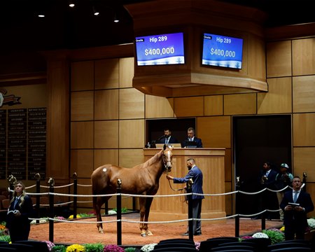 The Epicenter filly consigned as Hip 289 in the ring at the Fasig-Tipton October Sale
