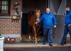 Kildangan Stud’s Night Of Thunder
ITM Stallion Trail.
Photo: Patrick McCann/Racing Post
10.01.2025