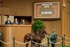 HIP 82 a weanling filly by Curlin out of Rather Special from the Eaton Sales consignment goes through the ring at $950,000 at the Keeneland November Breeding Stock sale Tuesday Nov. 4 2025 in Lexington, KY.  Photo BY &#169;Anne Eberhardt.