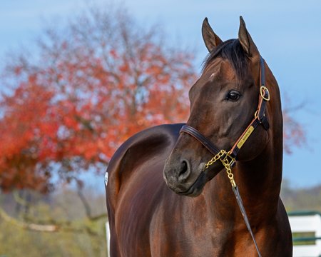 Bishops Bay at Keeneland
