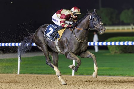 Heart of Honor wins the Nakheel Stakes at Meydan Racecourse