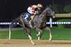 Heart of Honor wins the 2025 Nakheel Stakes at Meydan Racecourse