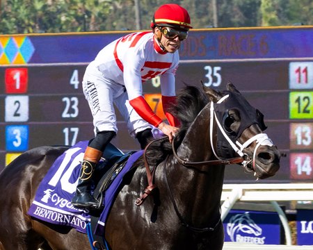 Bentornato wins the 2025 Breeders' Cup Sprint at Del Mar