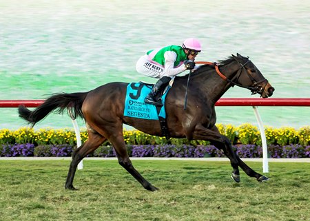 Segesta wins the 2025 Matriarch Stakes at Del Mar